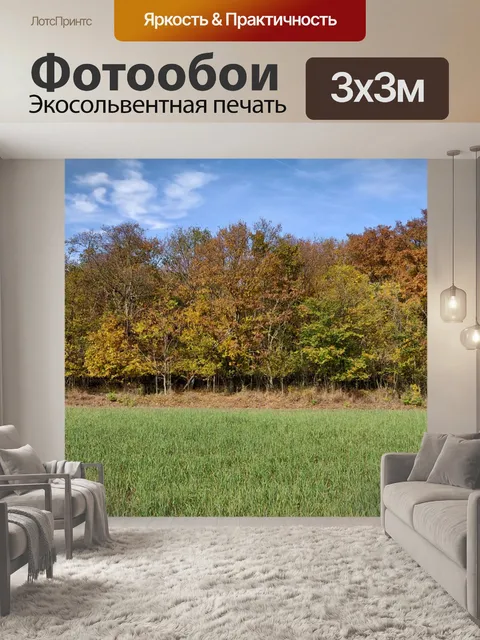 Фотообои Лес