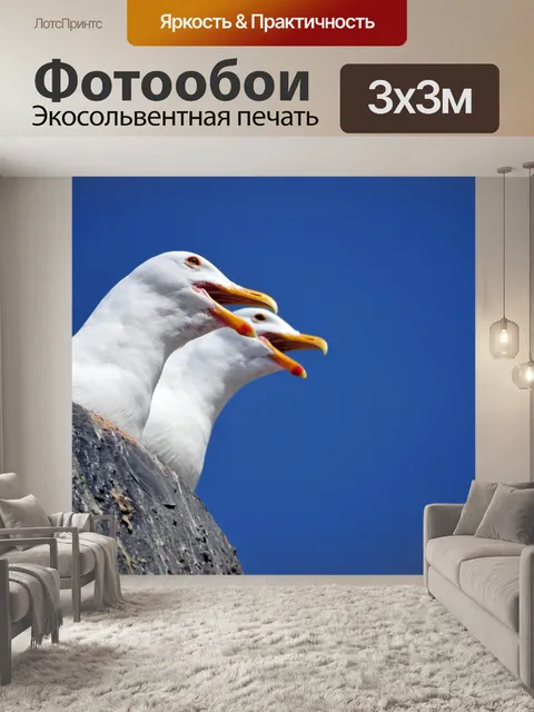 Фотообои Чайка Пара