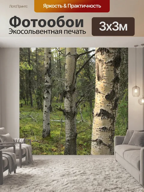 Фотообои Лес