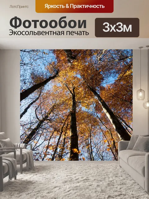 Фотообои Бук