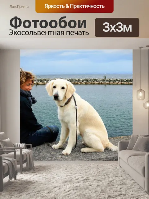 Фотообои Белая собака