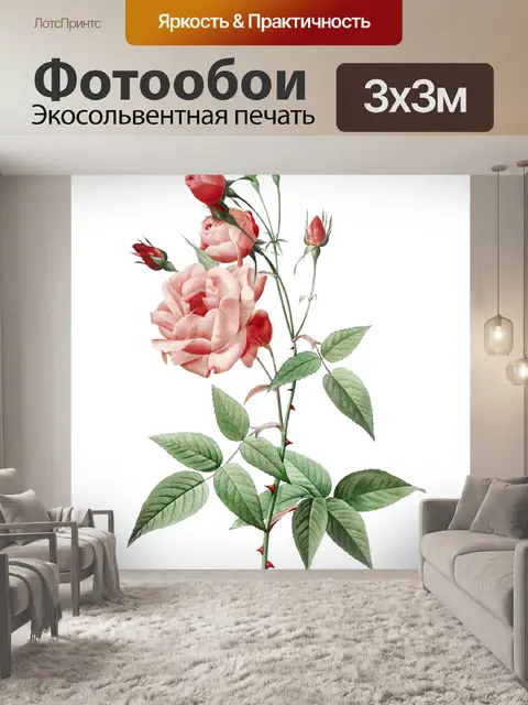 Фотообои Винтажная иллюстрация цветка розы