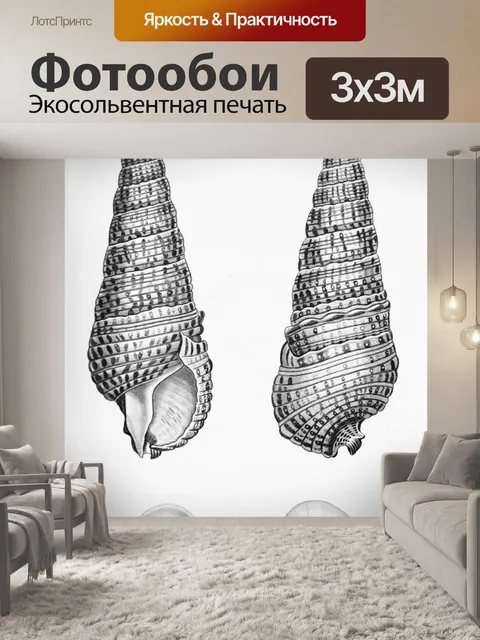 Фотообои Клипарт ракушки винтажное искусство