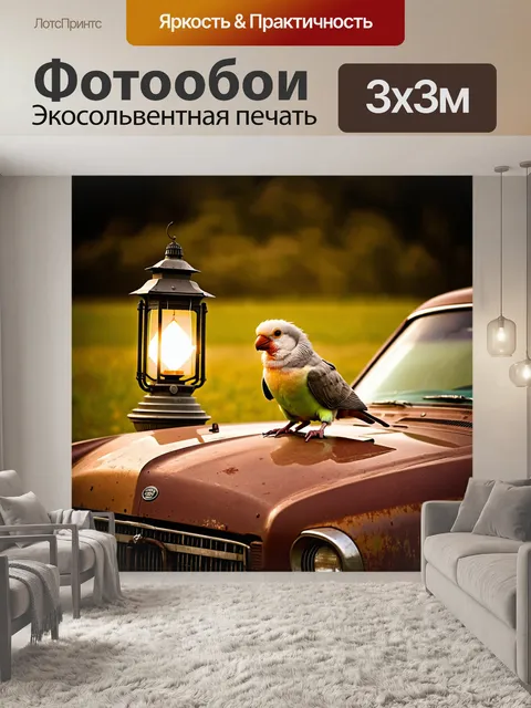 Фотообои корелла, сидящая на капоте старинного автомобиля, покрытого ржавчиной, с ярким фонарем рядом