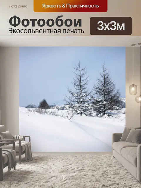 Фотообои Снежная сцена