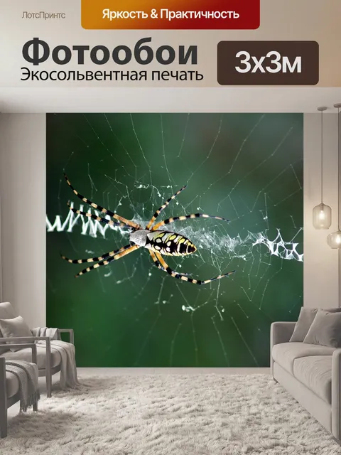 Фотообои Желтый и черный паук