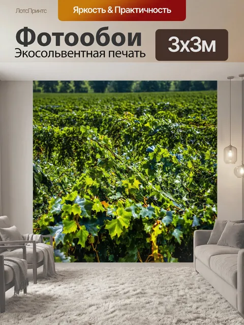 Фотообои поле, переполненное различными вьюнками и лианами, создающее объём и текстуру, отражая дикий дух природы