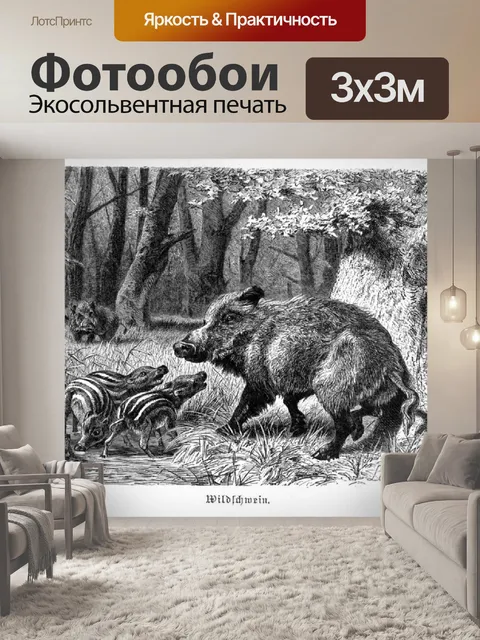 Фотообои Дикий кабан Дикая свинья Дикие свиньи 18