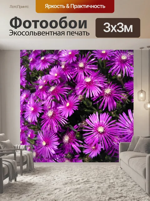Фотообои Цветы