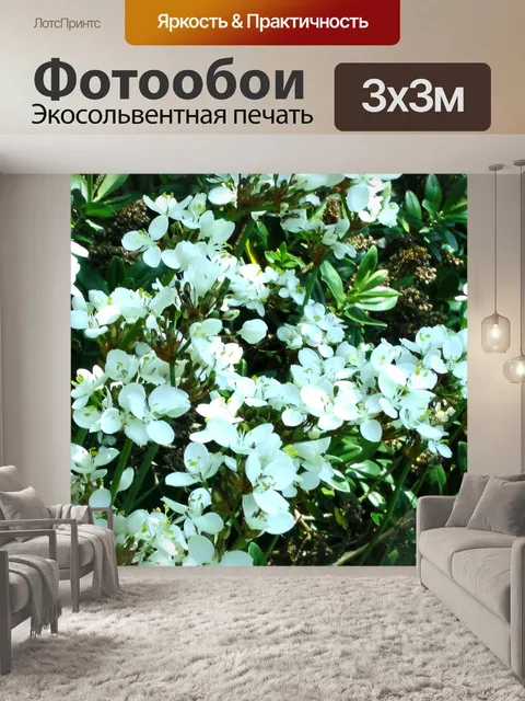Фотообои Цветочная 02
