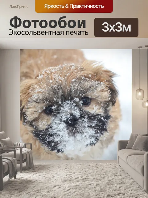 Фотообои Щенок