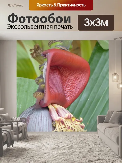 Фотообои Банан