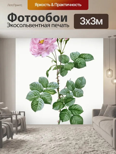 Фотообои Роза винтажное искусство старое