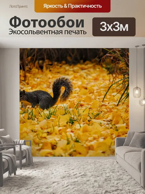 Фотообои Белка