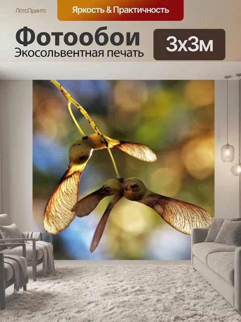 Фотообои Осенние краски