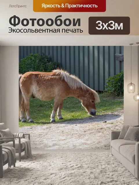 Фотообои Шетландские пони