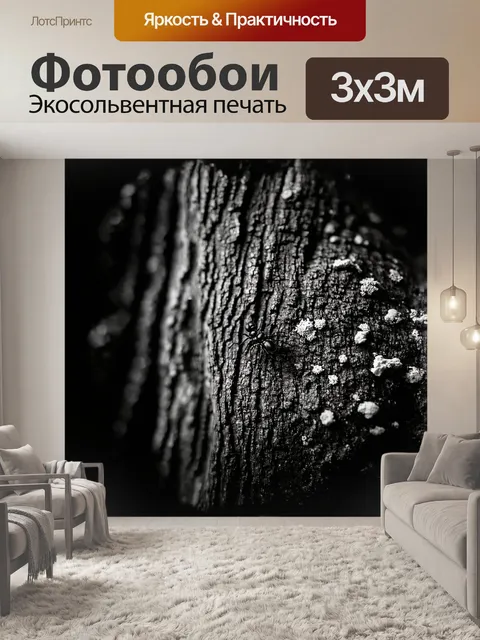 Фотообои муравей ползет по шероховатой поверхности старого дерева