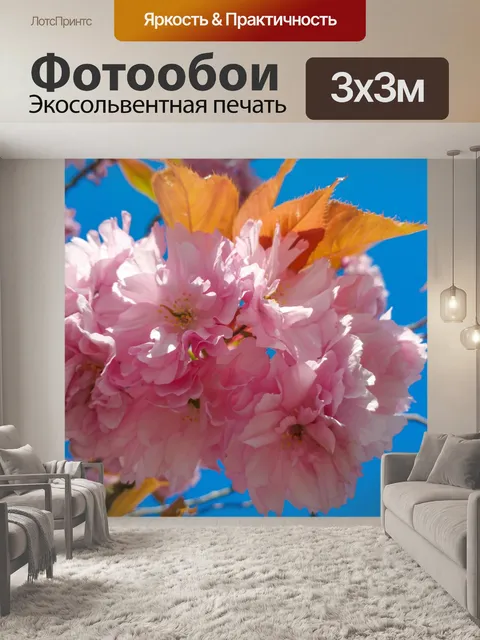 Фотообои Розовый вишневый цвет