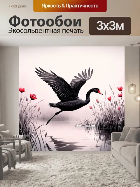 Фотообои черный лебедь, парящий над прудом в утреннем тумане