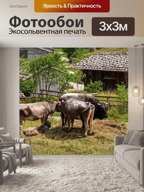 Фотообои Бык