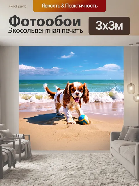 Фотообои радостная собака, кавалер кинг чарльз спаниель, играет с мячиком на пляже, а вокруг неё рассекаются волны