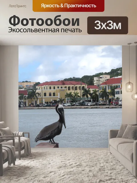 Фотообои Коричневый пеликан