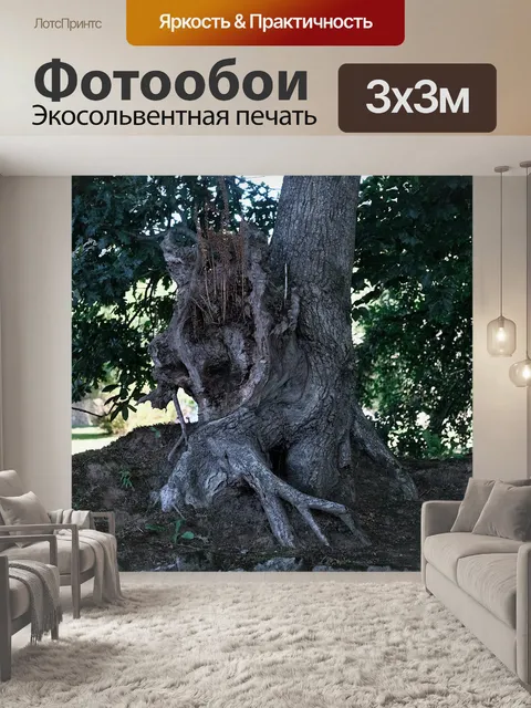 Фотообои Корни большого дерева