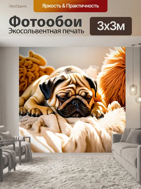 Фотообои спокойный сон мопса на мягком пледе, окружённого теплыми солнечными лучами