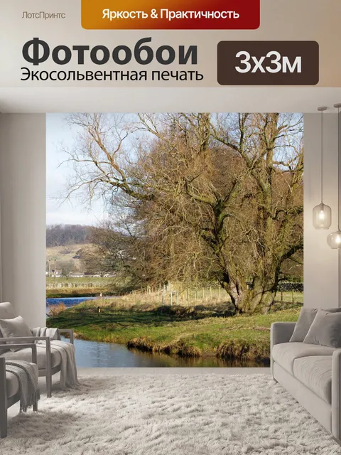 Фотообои Дерево на Riverbank