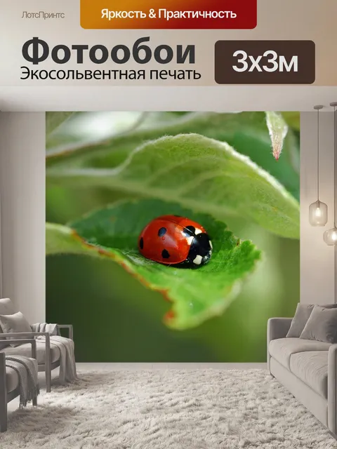Фотообои Божья коровка