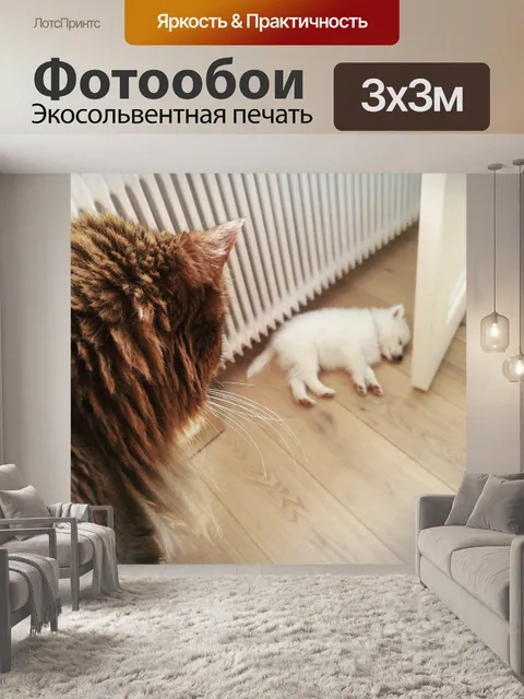 Фотообои Собака