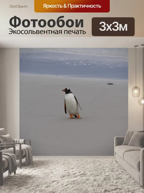 Фотообои Пингвин
