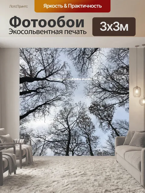 Фотообои Деревья