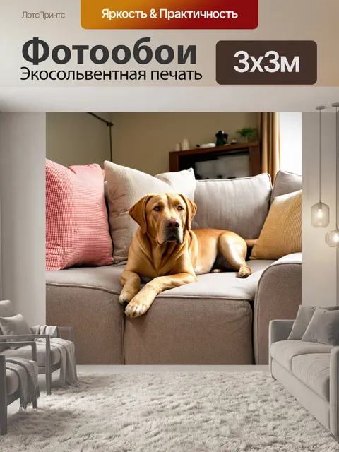 Фотообои лабрадор, лежащий на диване, окружённый мягкими подушками, уютная домашняя обстановка