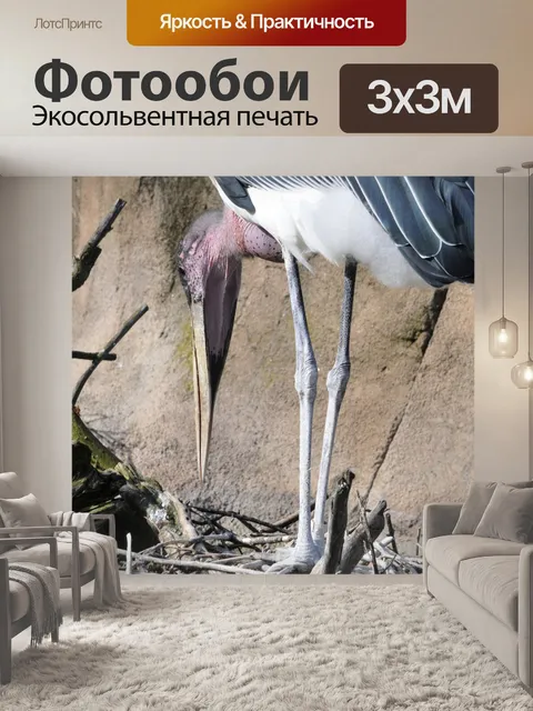 Фотообои Аист