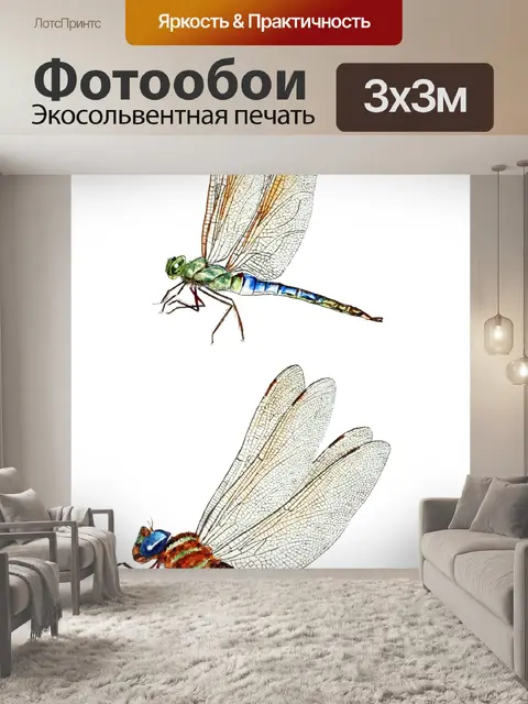 Фотообои Стрекозы старинные иллюстрации старый