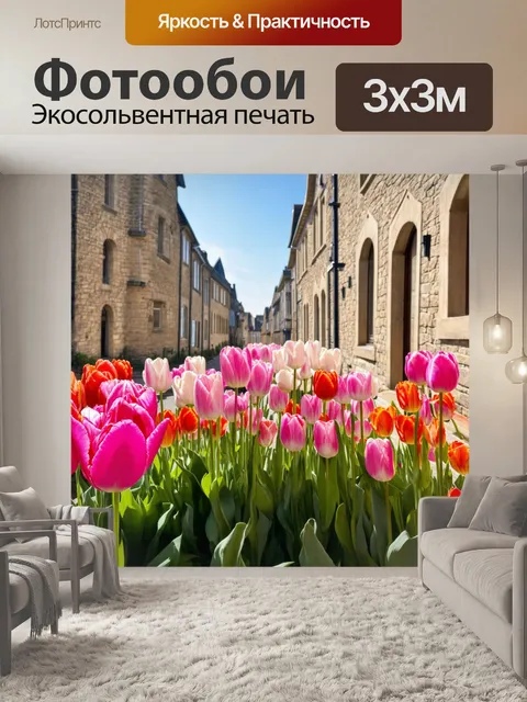 Фотообои тюльпаны в утреннем свете