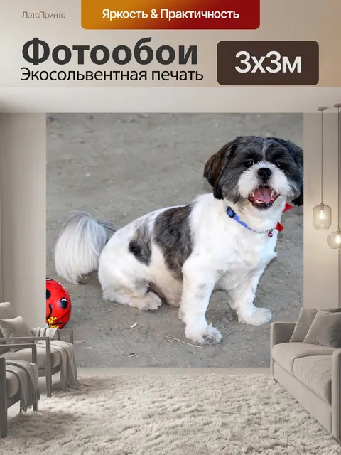 Фотообои Собака