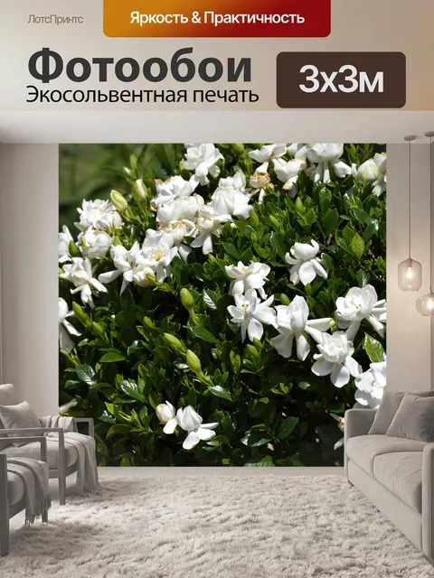 Фотообои Гардения куст цветок