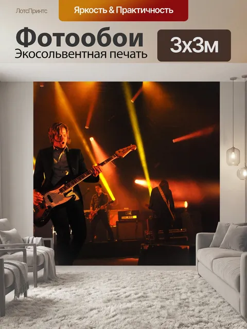 Фотообои Концерт