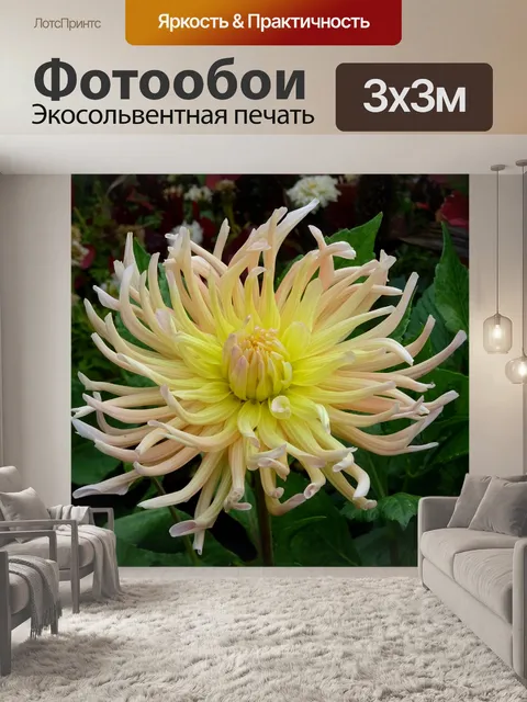 Фотообои Красивый желтый цветок