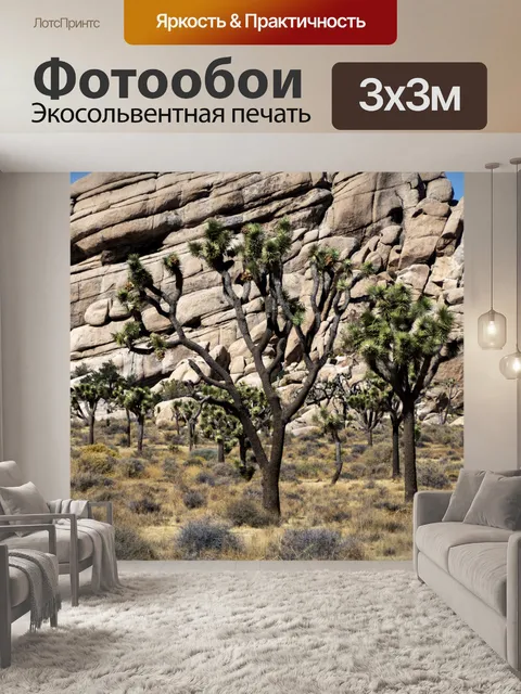 Фотообои Джошуа Три Какти