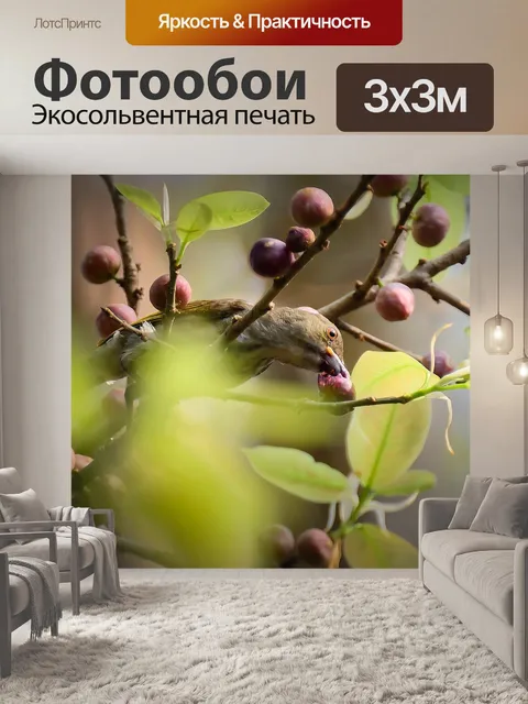 Фотообои Птица