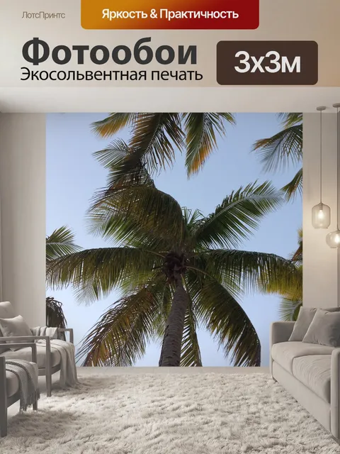 Фотообои Пальма