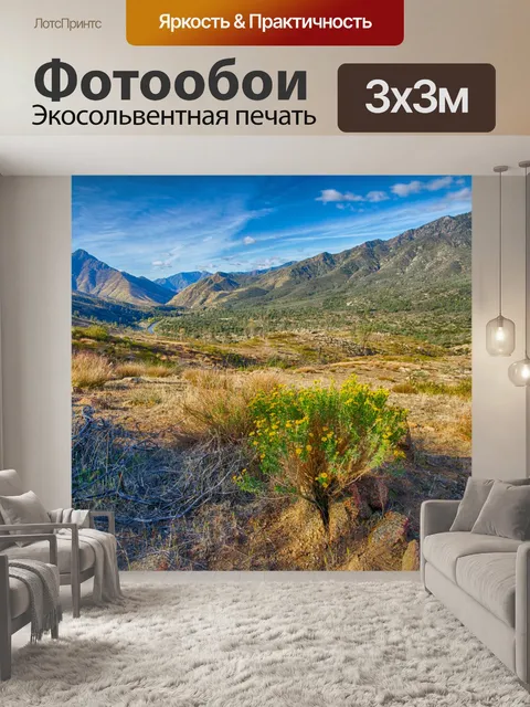 Фотообои Желтые цветы более Kern Valley