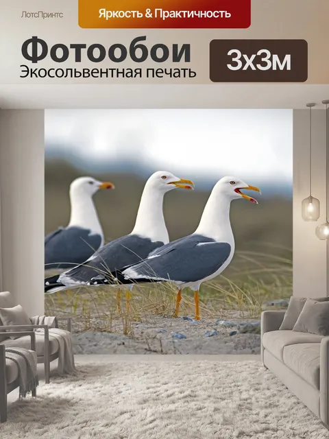 Фотообои Три грации