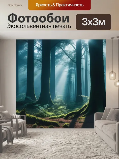Фотообои темный лес утром
