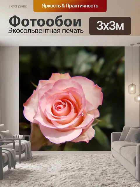 Фотообои Роза
