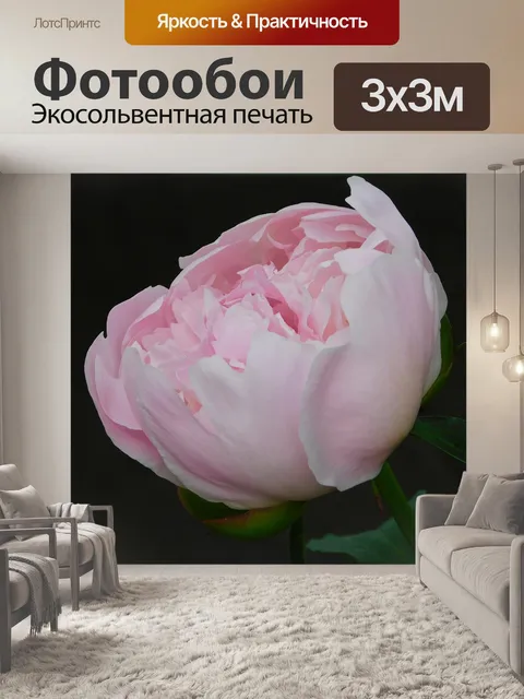 Фотообои Розовый