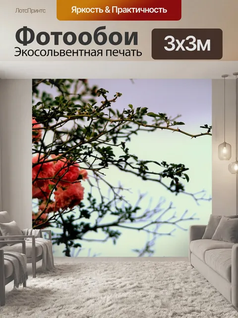 Фотообои розовый куст с розовыми розами